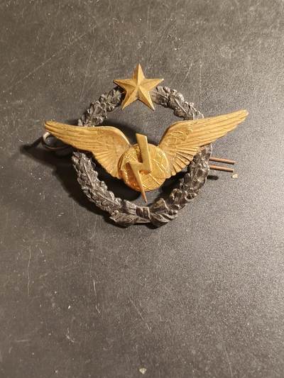 老王徽章第168期 - 法国空军无线电操作员证章