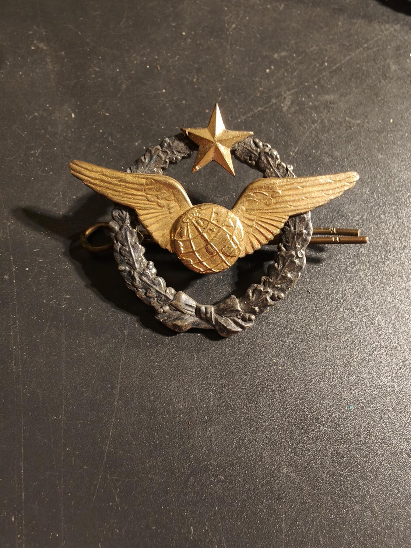 老王徽章第168期 法国空军领航员证章