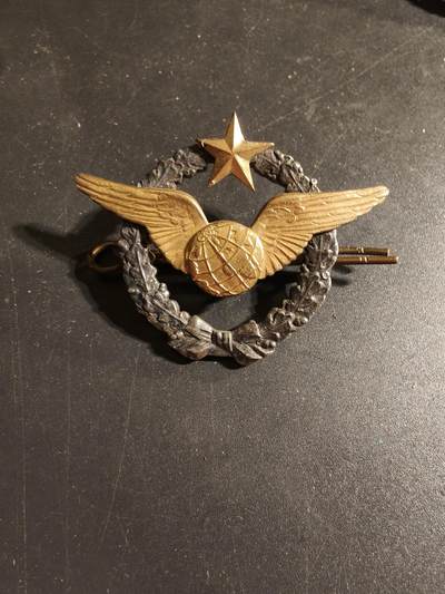 老王徽章第168期 - 法国空军领航员证章