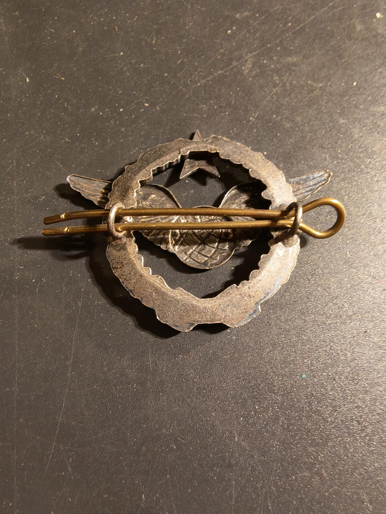 老王徽章第168期 法国空军领航员证章