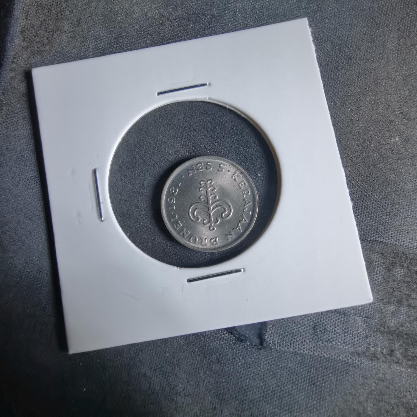 沼泽如烟--第921场 文莱1981年五分