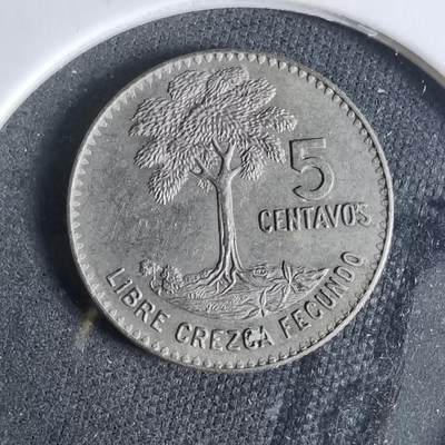 沼泽如烟--第921场 - 危地马拉1966年五分