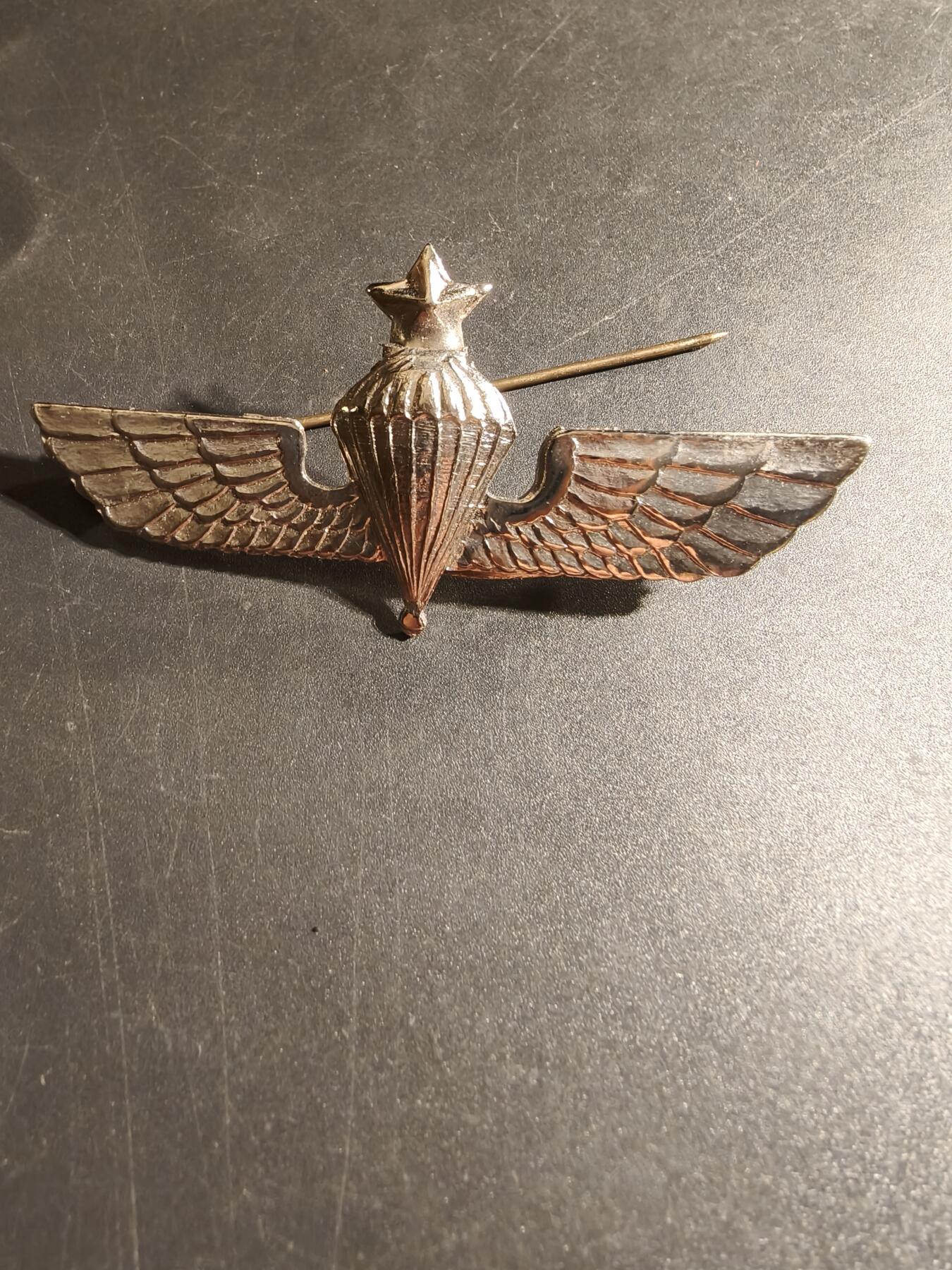 老王徽章第168期