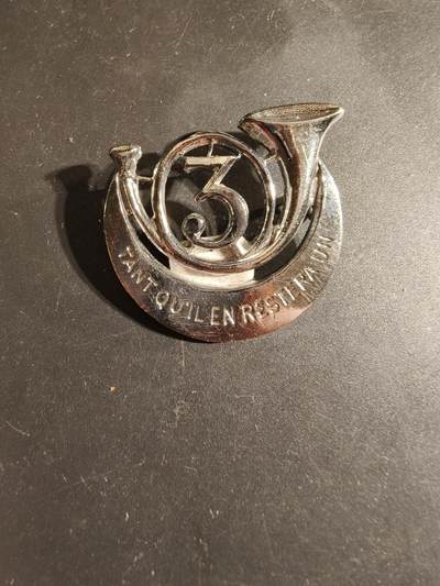 老王徽章第168期 - 法国第3非洲猎兵团证章