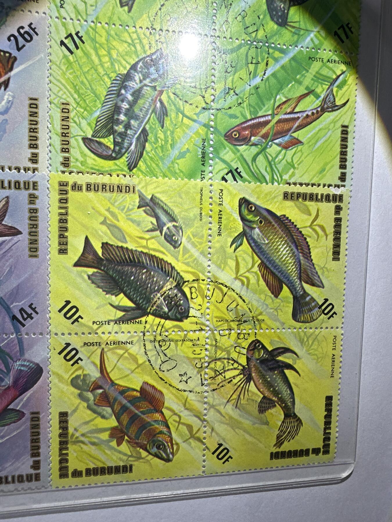 12.6邮票专场 布隆迪1974年动物系列菱形异型24枚小全套