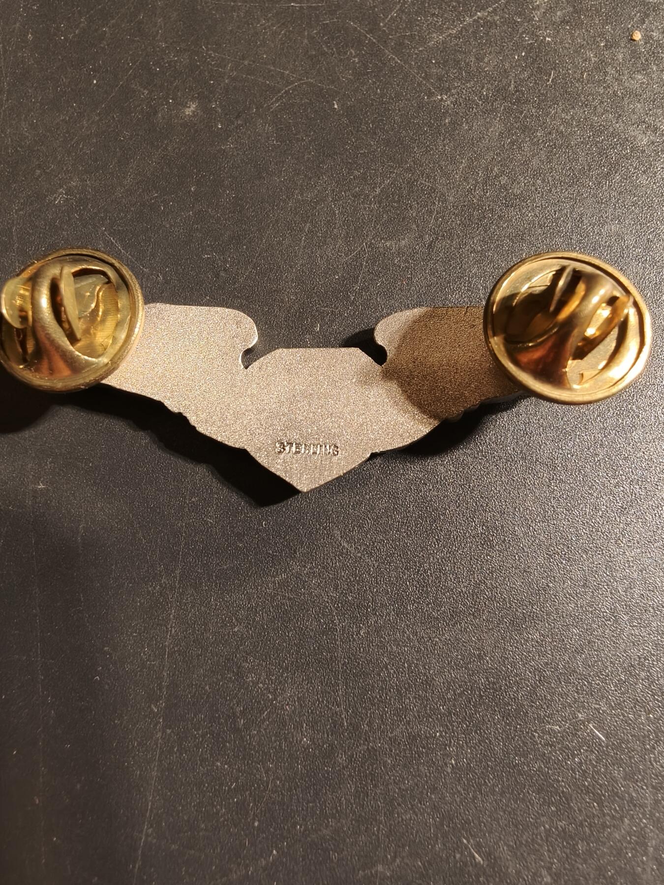 老王徽章第168期 美国空军军医技能章 925银 2英寸