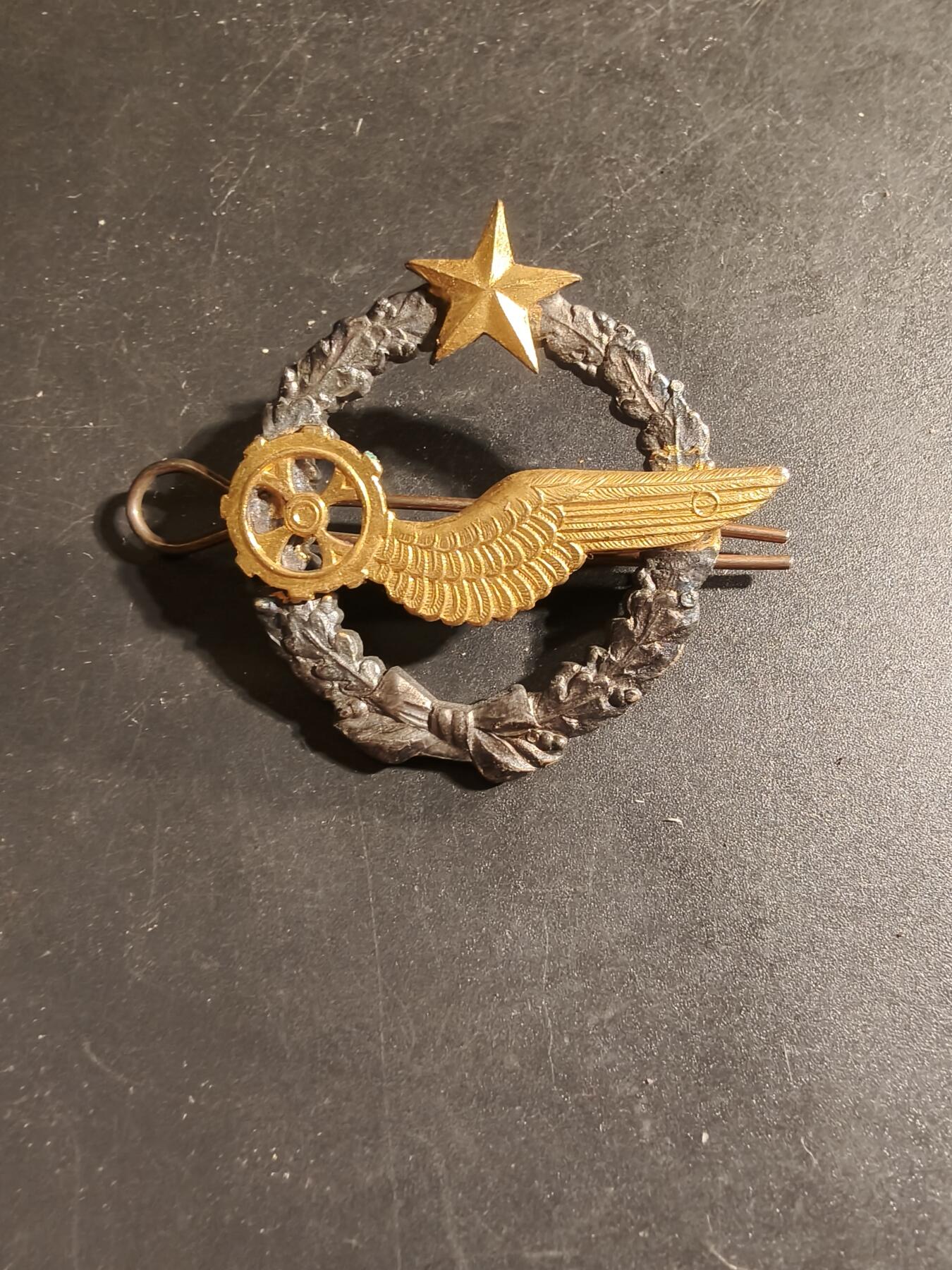 老王徽章第168期 法国空军机械师学员证章