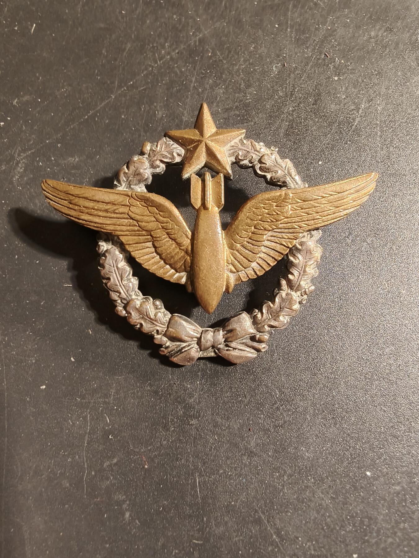 老王徽章第168期 法国空军投弹手证章