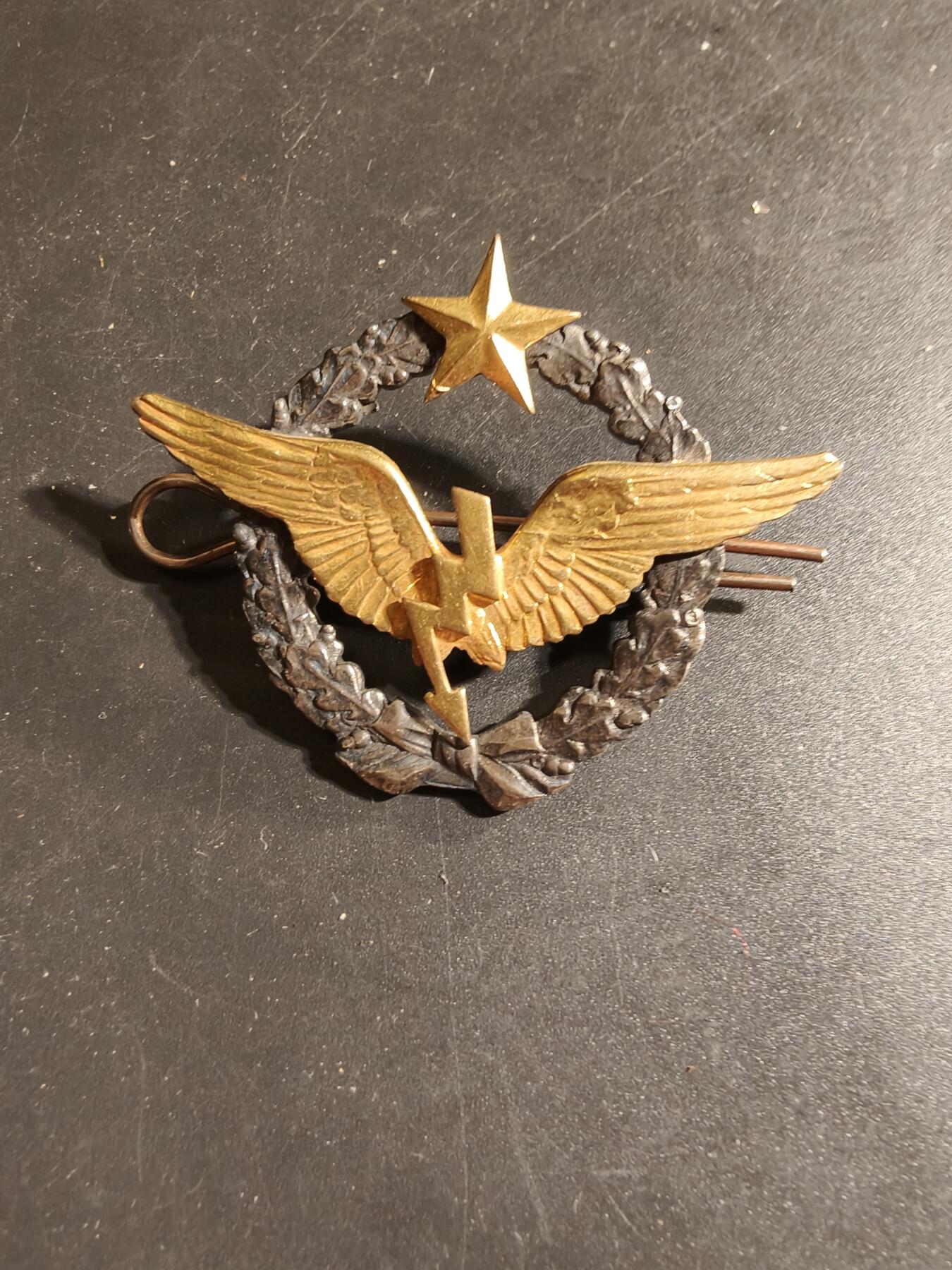 老王徽章第168期 法国空军无线电操作员证章