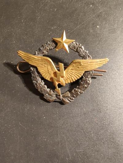 老王徽章第168期 - 法国空军无线电操作员证章