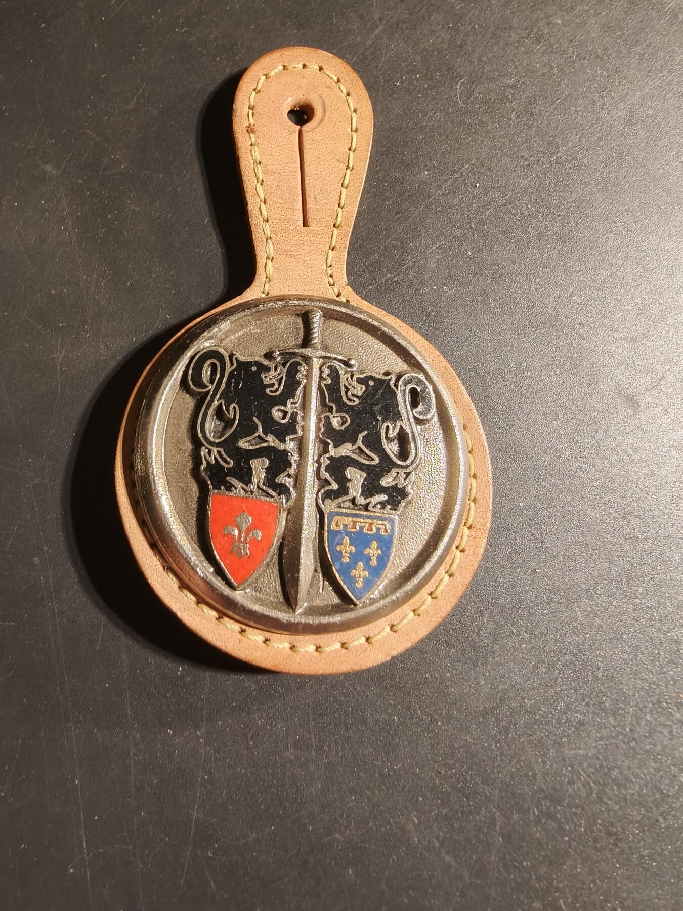 老王徽章第168期 法国第5地区资源师证章