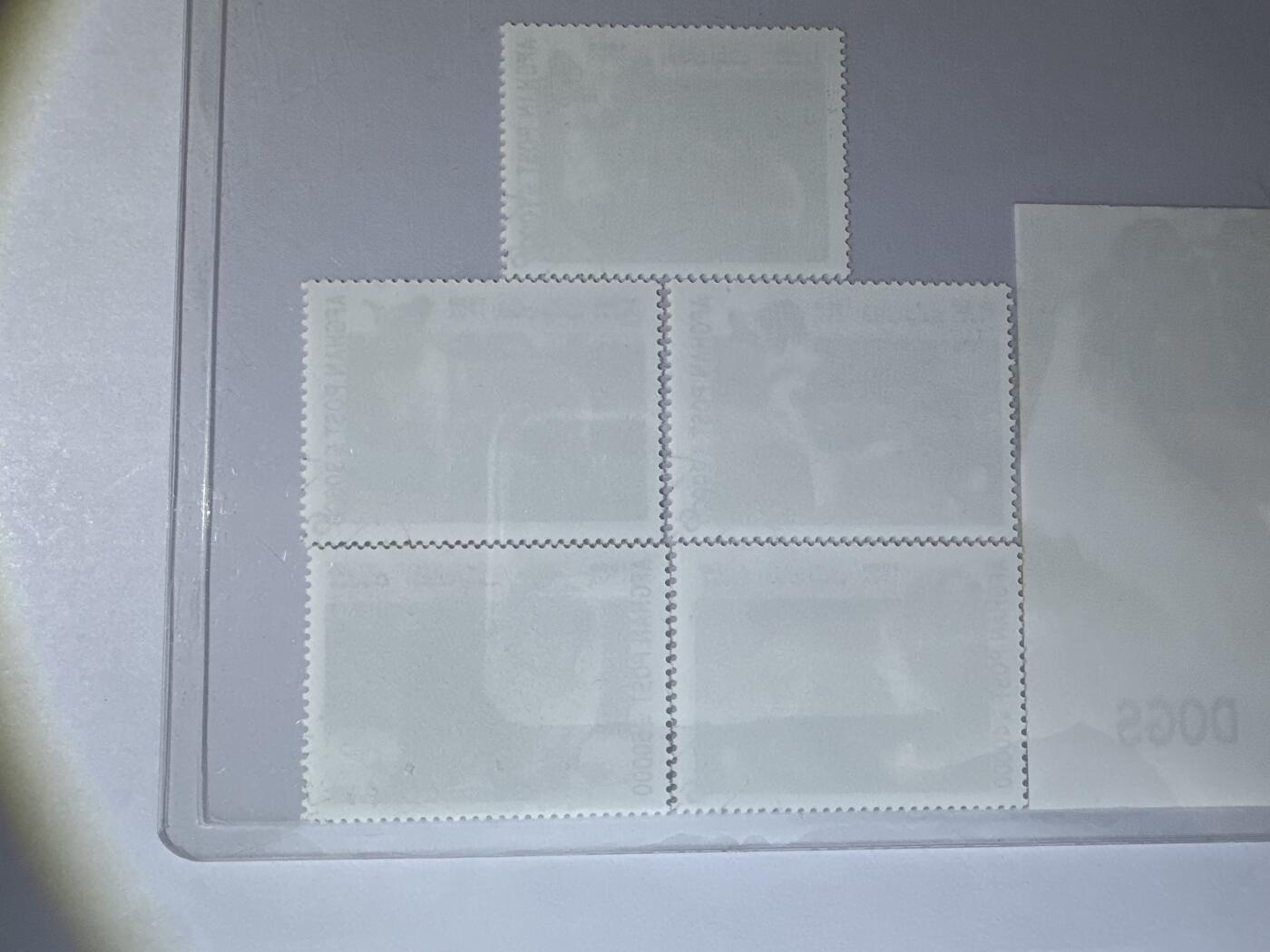 12.6邮票专场 阿富汗1999年世界名犬系列5全+小型张