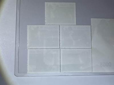 12.26邮票专场 阿富汗1999年世界名犬系列5全+小型张