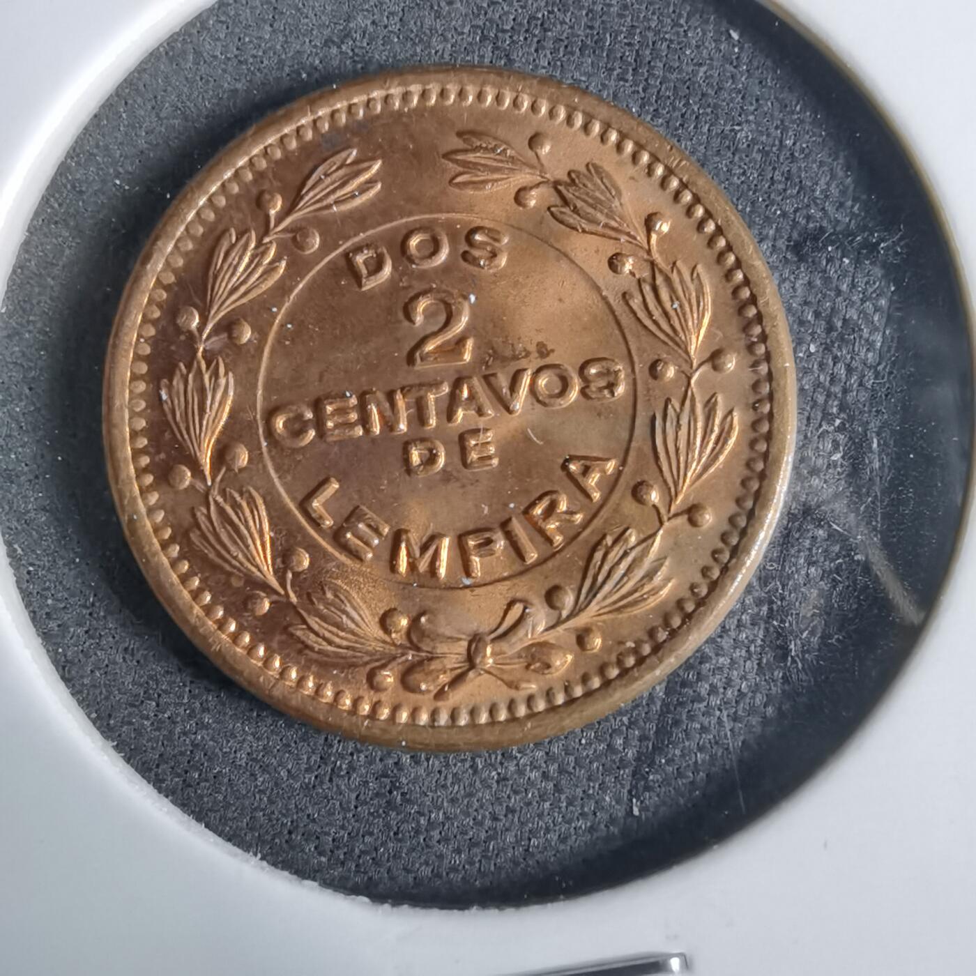 沼泽如烟--第921场 洪都拉斯1956年二分