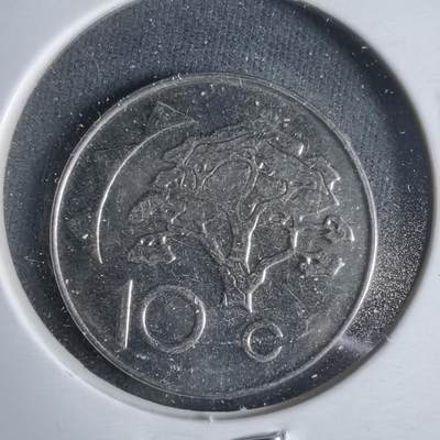 沼泽如烟--第921场 - 纳米比亚2024年十分