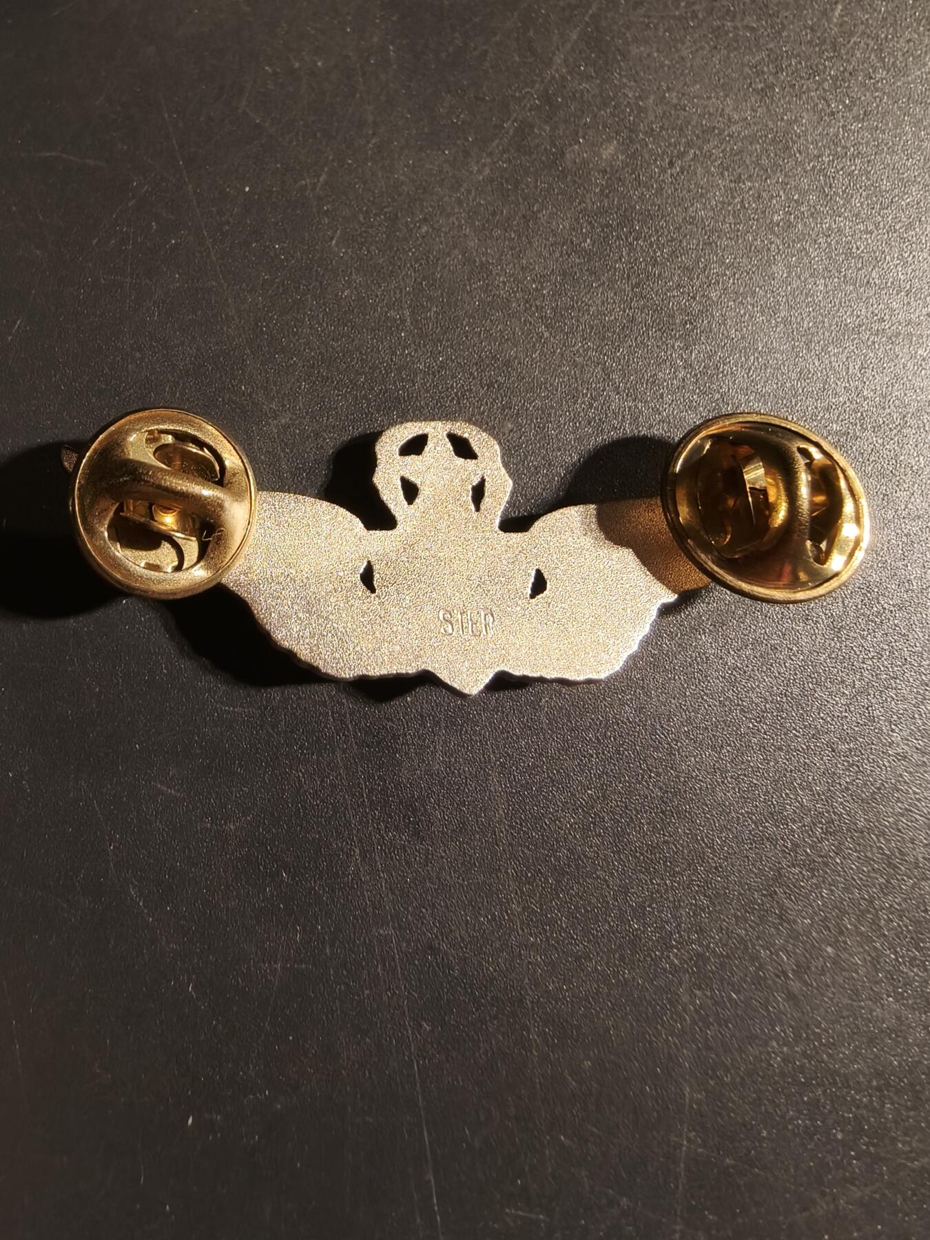 老王徽章第168期 美国空军军医高级技能章 925银 2英寸