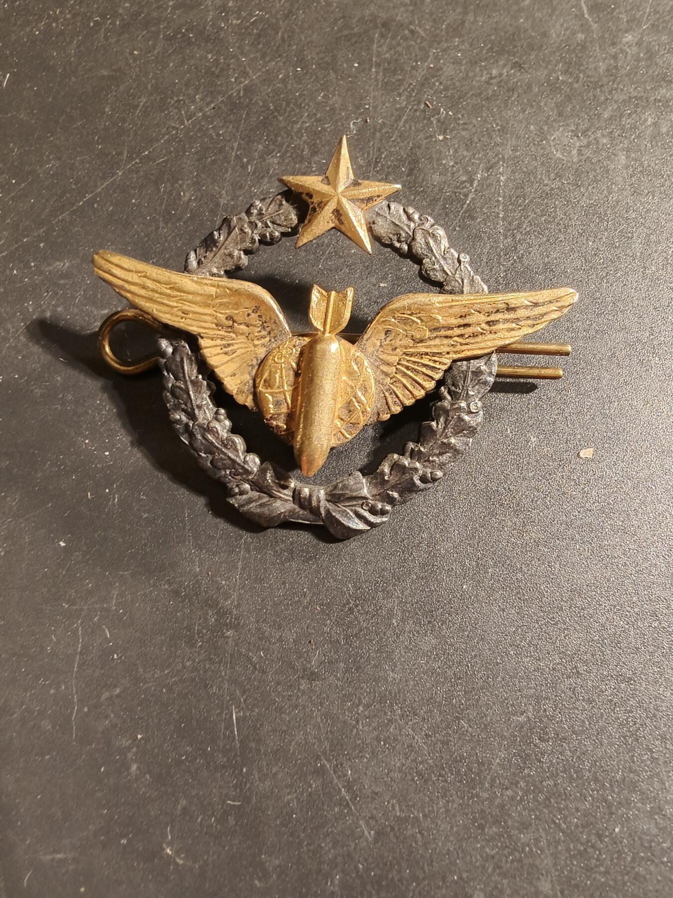 老王徽章第168期 法国空军投弹手证章