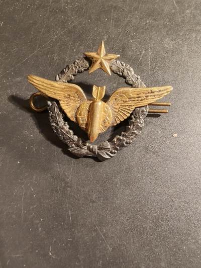 老王徽章第168期 - 法国空军投弹手证章