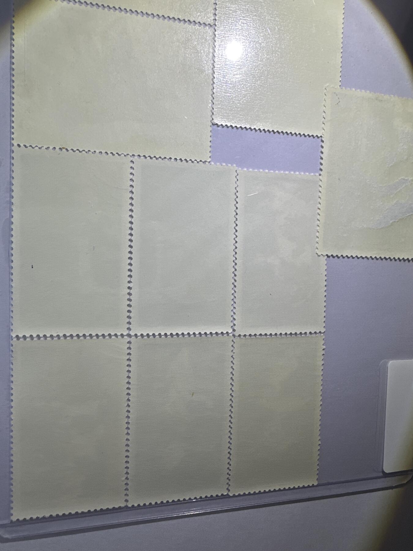 12.6邮票专场 波兰动物系列散票10枚