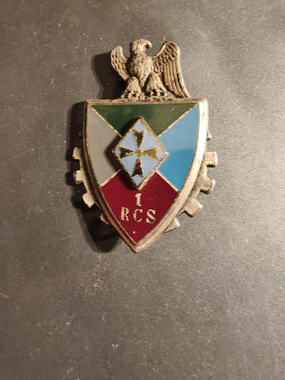 老王徽章第168期 - 法国第1指挥与支援团证章