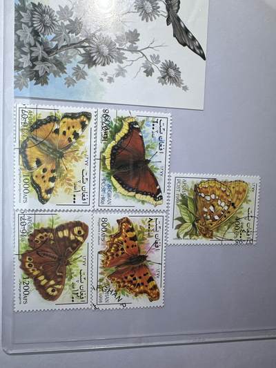 12.26邮票专场 阿富汗1998年蝴蝶系列5枚+小型张