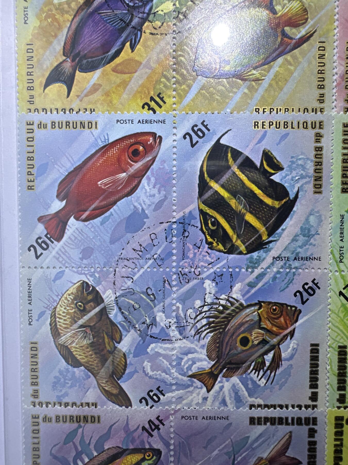 12.6邮票专场 布隆迪1974年动物系列菱形异型24枚小全套