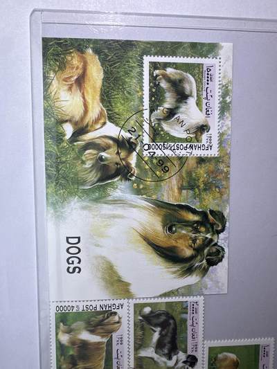 12.26邮票专场 阿富汗1999年世界名犬系列5全+小型张