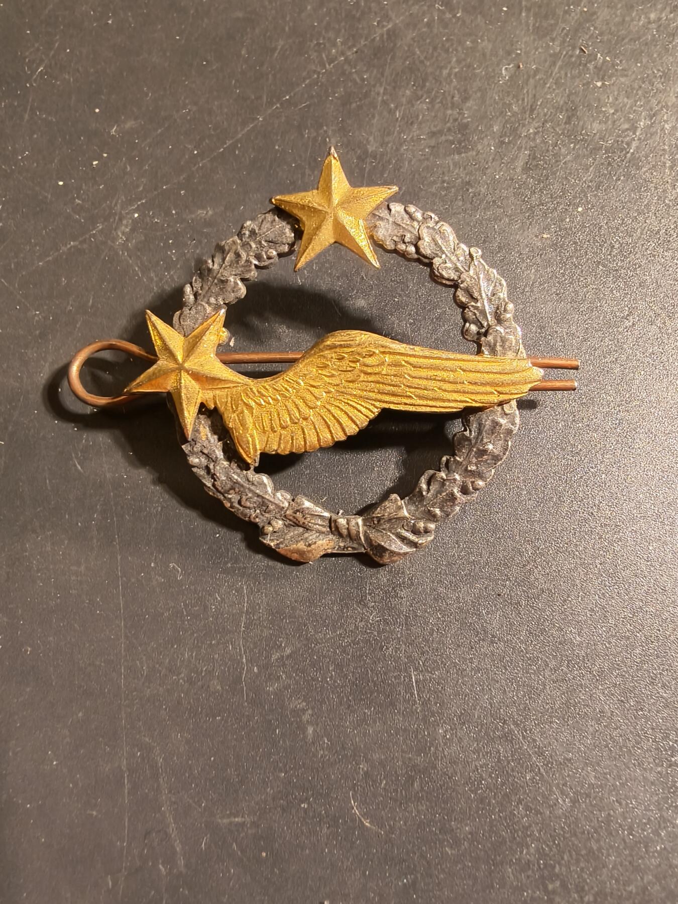 老王徽章第168期 法国空军飞行员学员证章