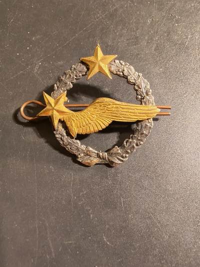 老王徽章第168期 - 法国空军飞行员学员证章