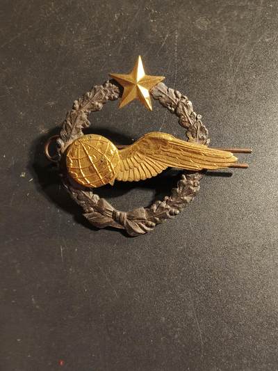 老王徽章第168期 - 法国空军领航员学员证章