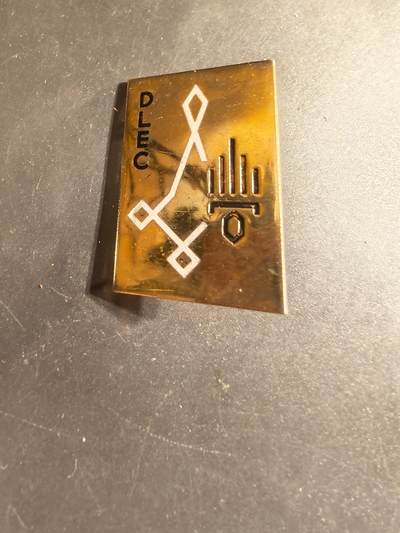 老王徽章第168期 - 法国外籍军团马约特岛特遣队证章