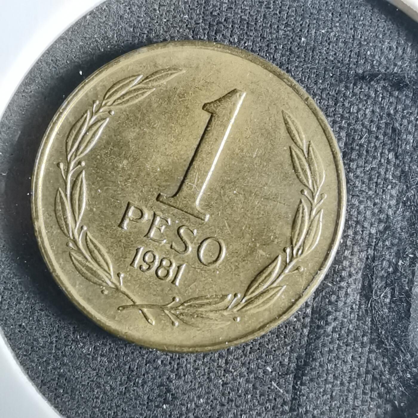 沼泽如烟--第921场 智利1981年1比索