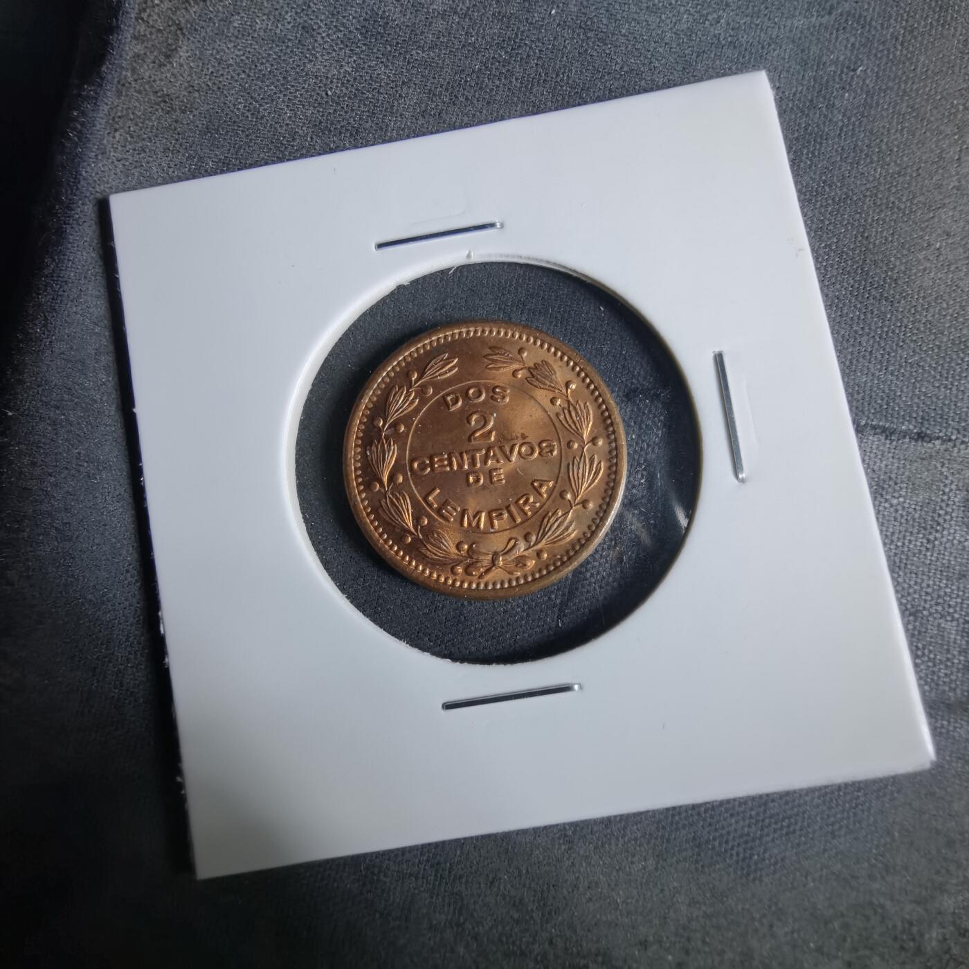 沼泽如烟--第921场 洪都拉斯1956年二分