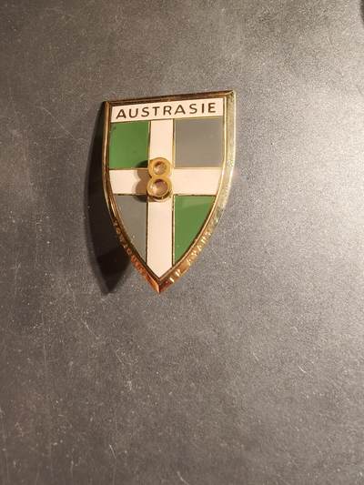 老王徽章第168期 - 法国第8团证章