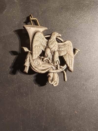 老王徽章第168期 - 法国第7山地步兵营证章