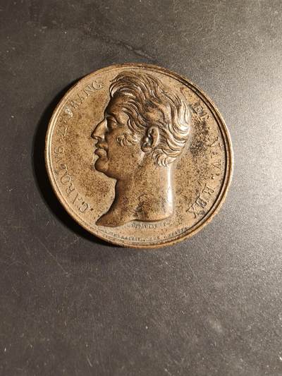 老王徽章第168期 - 法国查理十世时期多姆山省大铜章    光边原铸     直径50mm.   重量52.7g