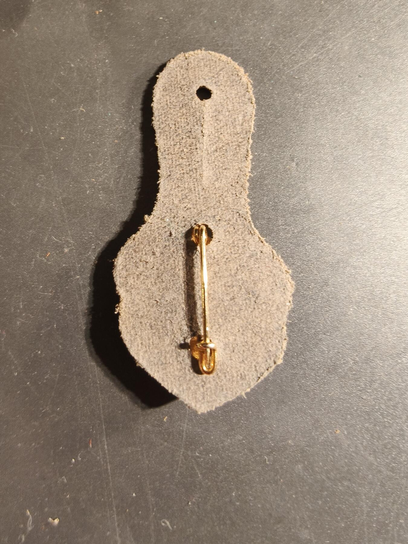 老王徽章第168期 法国乍得行进团证章