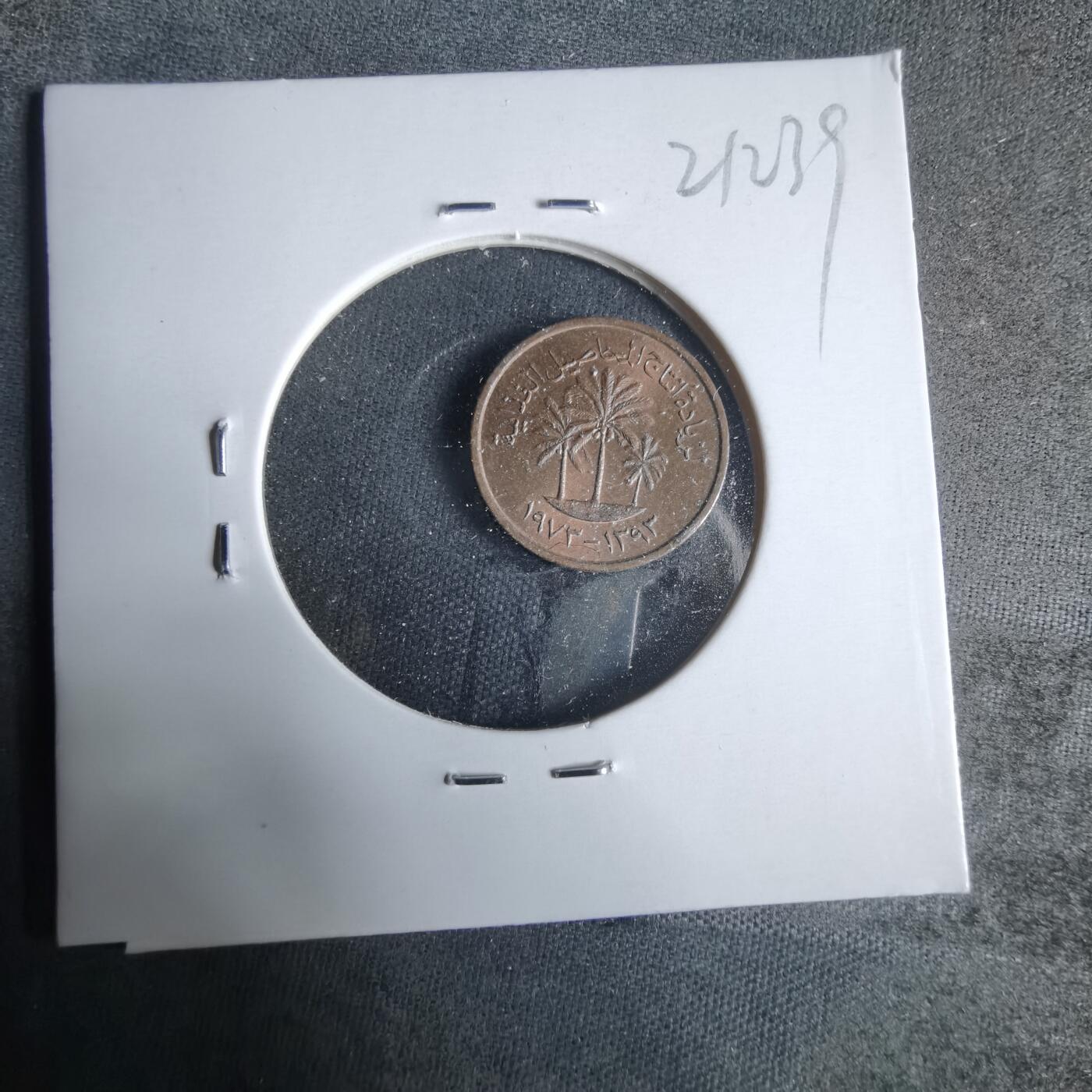 沼泽如烟--第921场 阿联酋