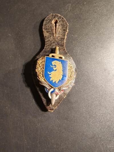 老王徽章第168期 - 法国高级预备役军事技能证章