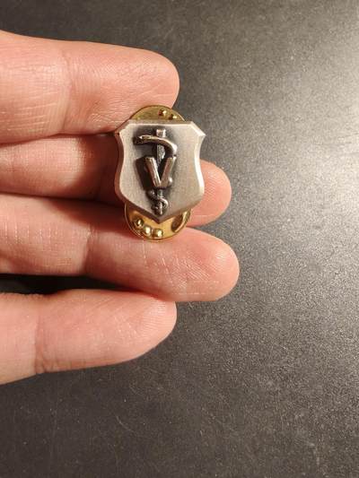 老王徽章第168期 - 美国空军护士领章     925银.    6.7g