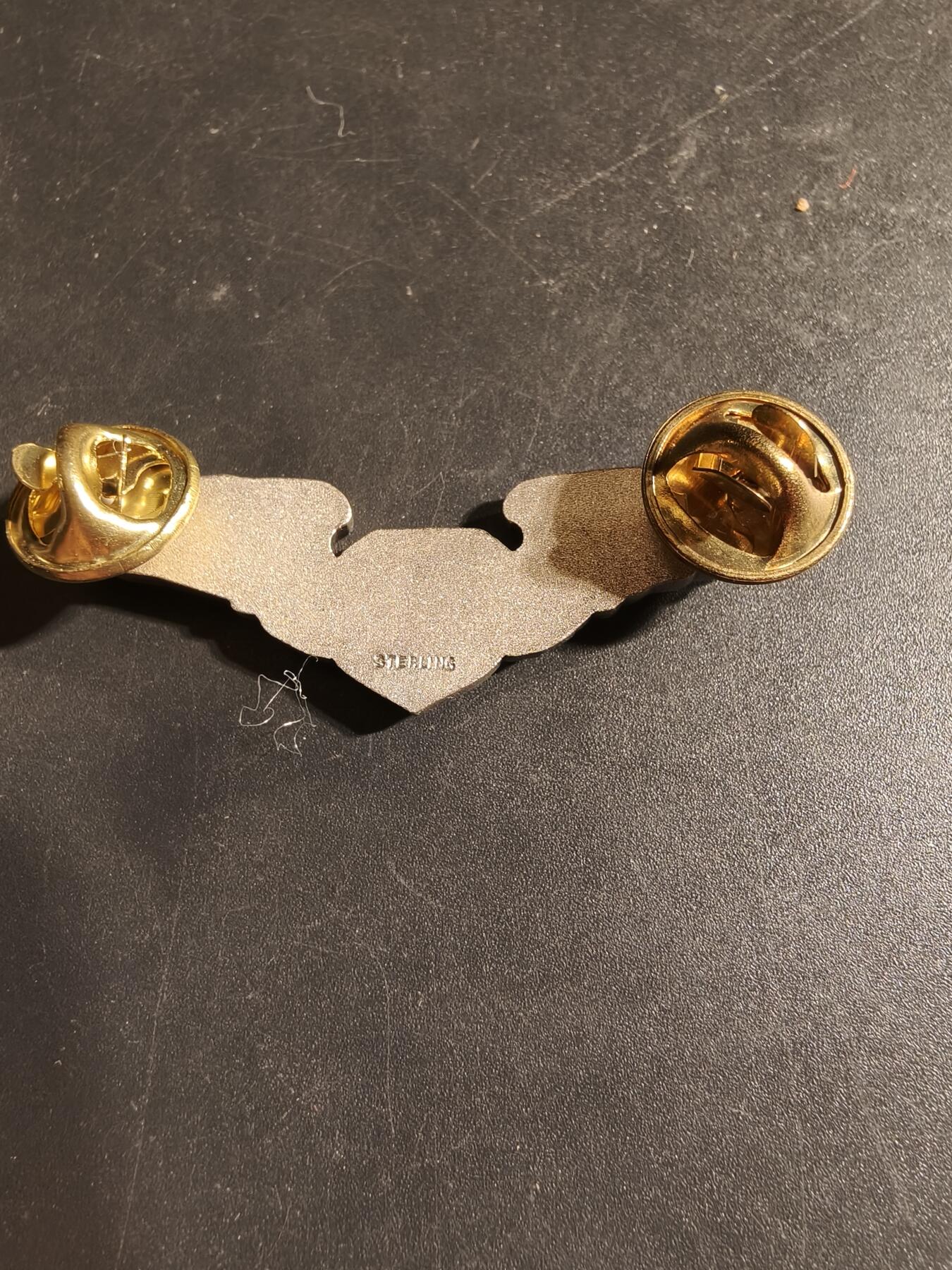 老王徽章第168期 美国空军军医技能章 925银 2英寸