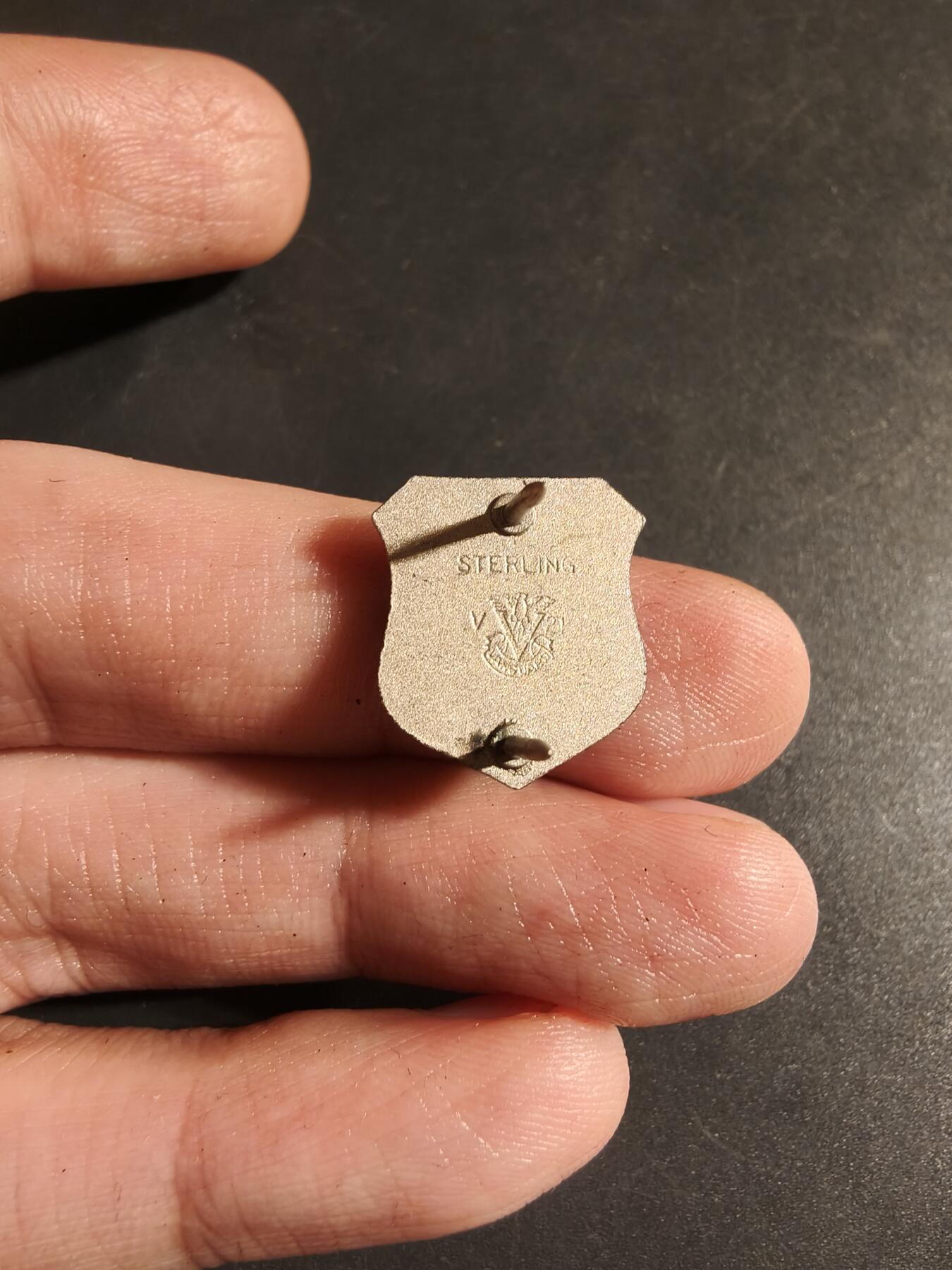 老王徽章第168期 美国空军护士领章     925银.    6.7g