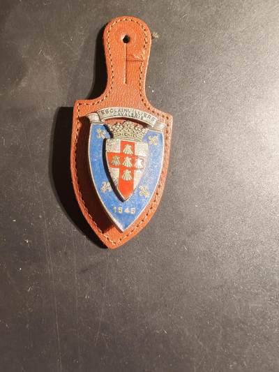 老王徽章第168期 - 法国第3胸甲骑兵团证章