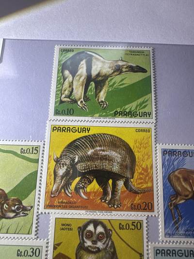 12.26邮票专场 巴拉圭1972年南美野生动物系列7枚