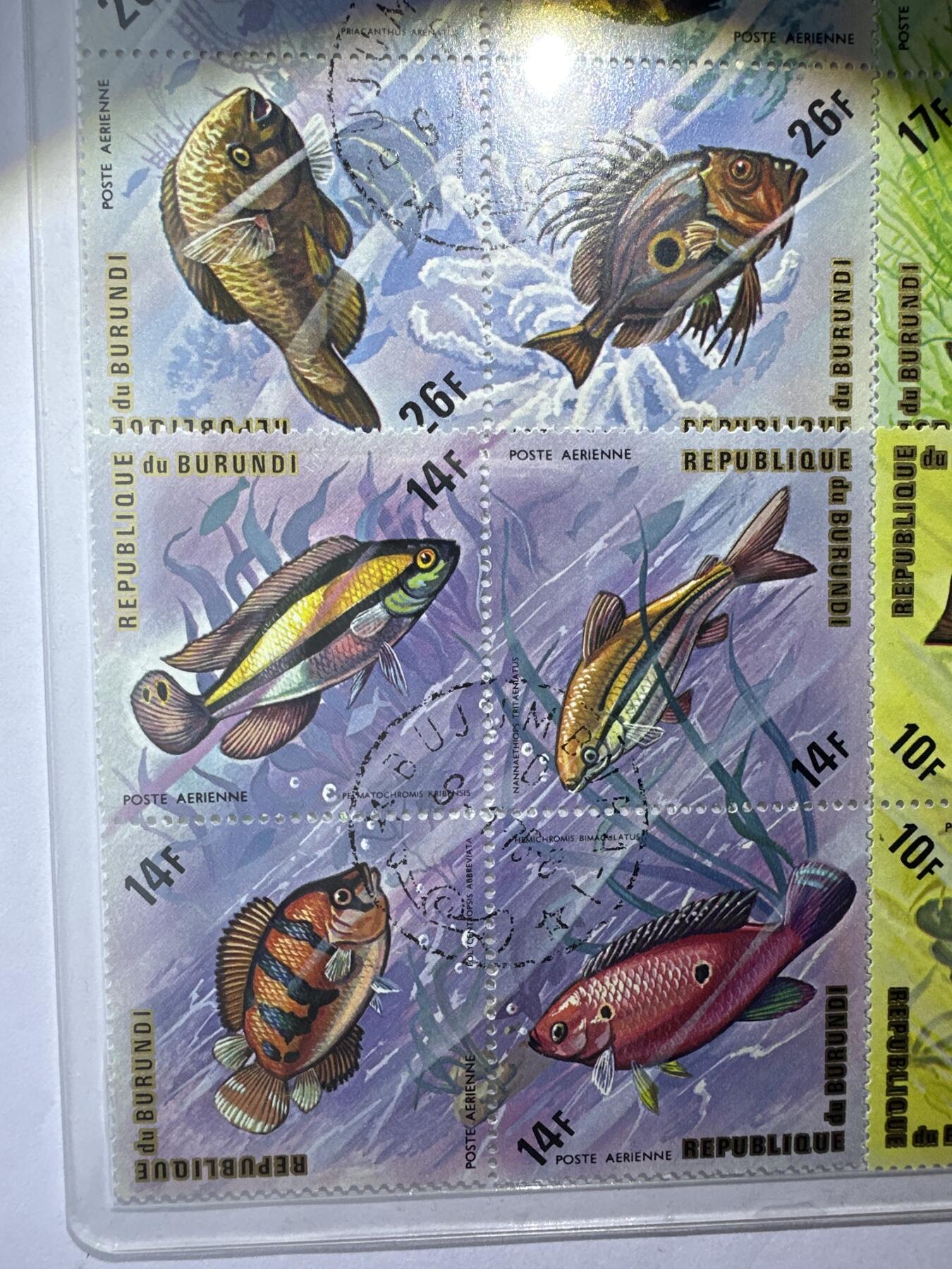 12.6邮票专场 布隆迪1974年动物系列菱形异型24枚小全套