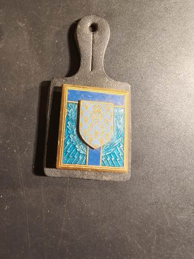 老王徽章第168期 - 法国蒙塔日通信兵学校证章