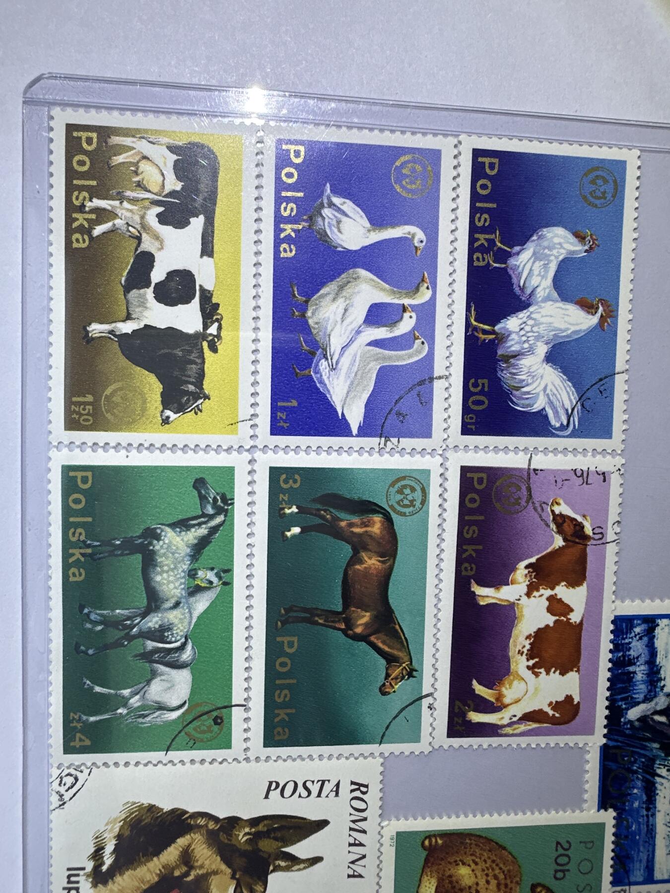 12.6邮票专场 波兰动物系列散票10枚