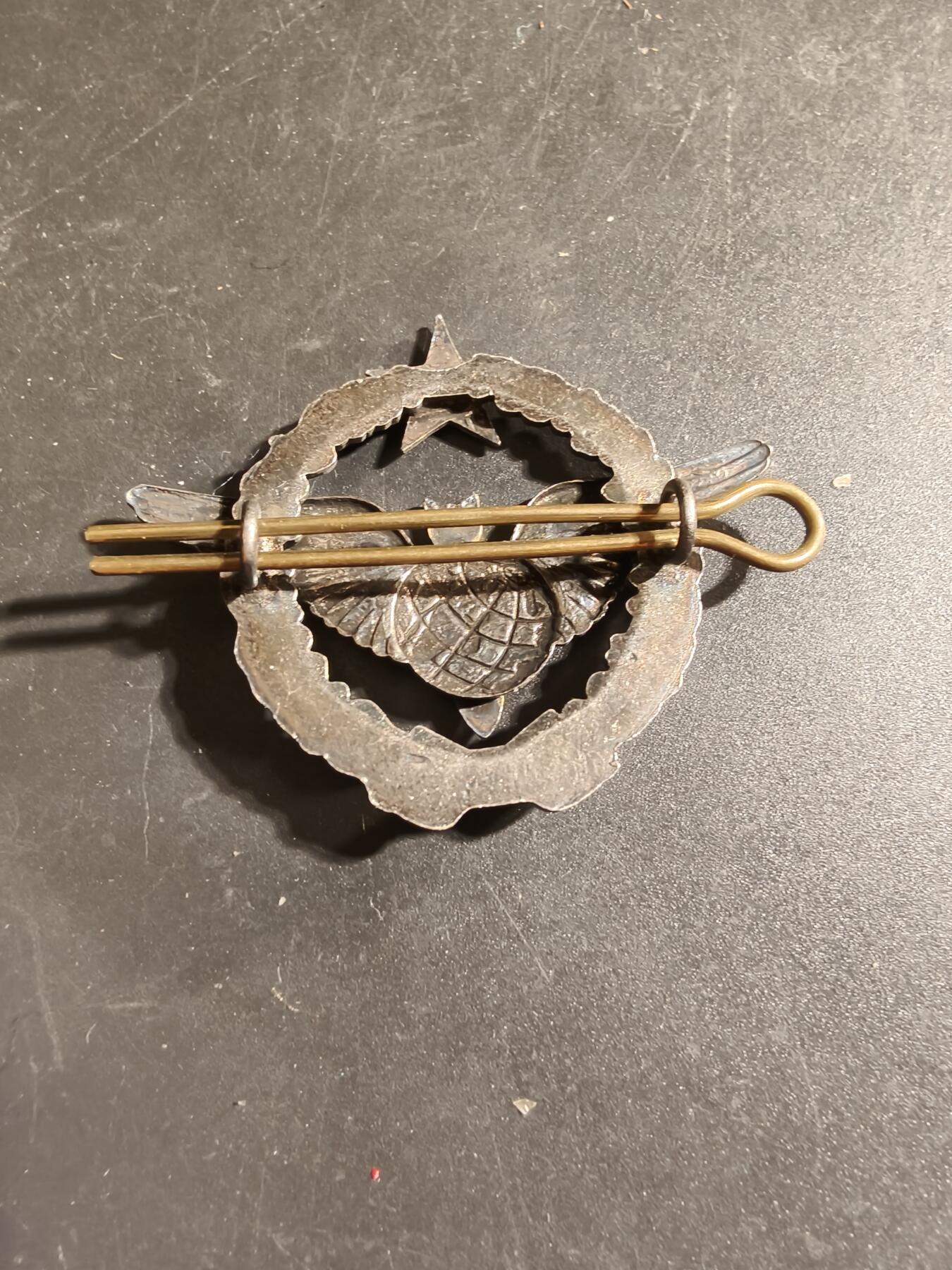 老王徽章第168期 法国空军投弹手证章