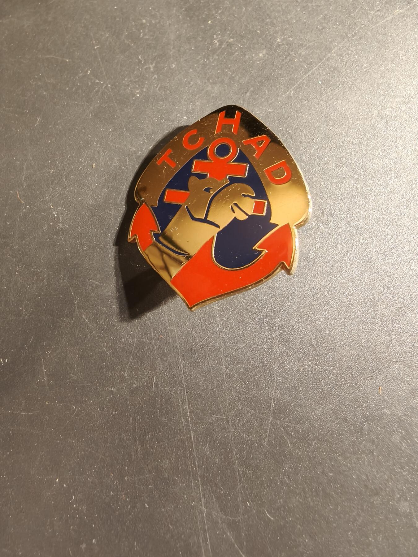 老王徽章第168期 法国乍得行进团证章