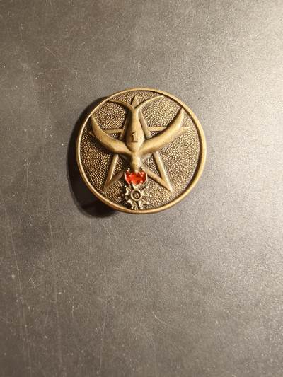 老王徽章第168期 - 法国陆军摩洛哥步枪兵第一团证章